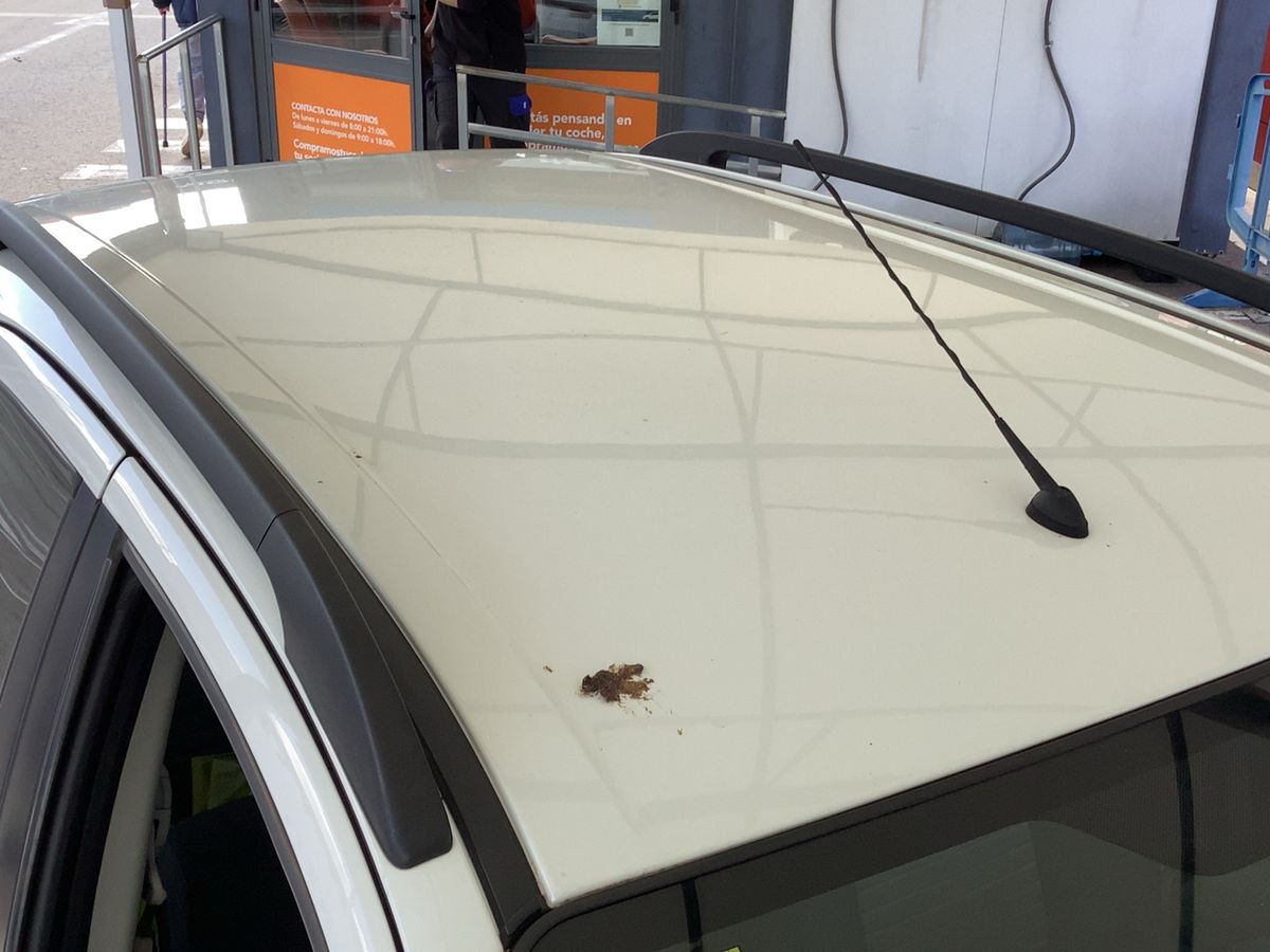 Suzuki SX4 2011 — photo 14