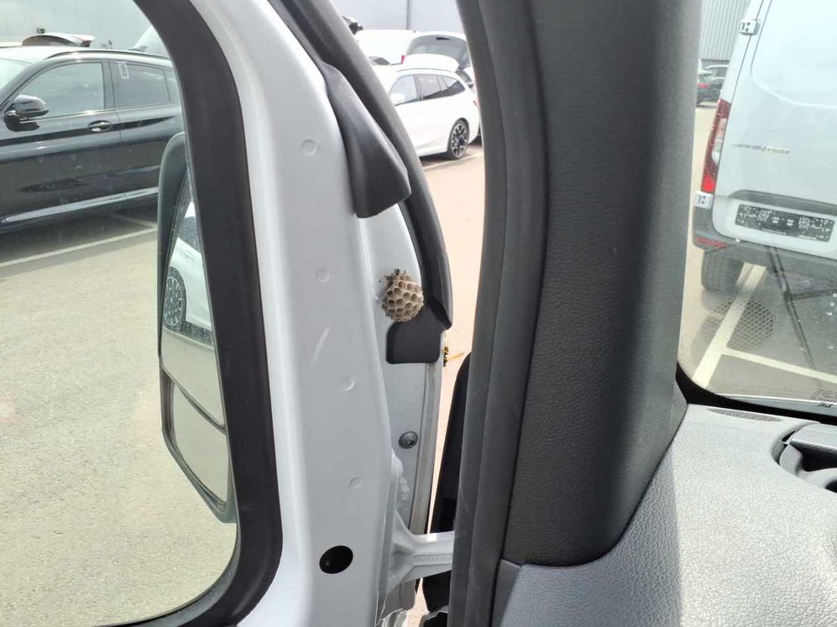 Mercedes-Benz Sprinter d'occasion