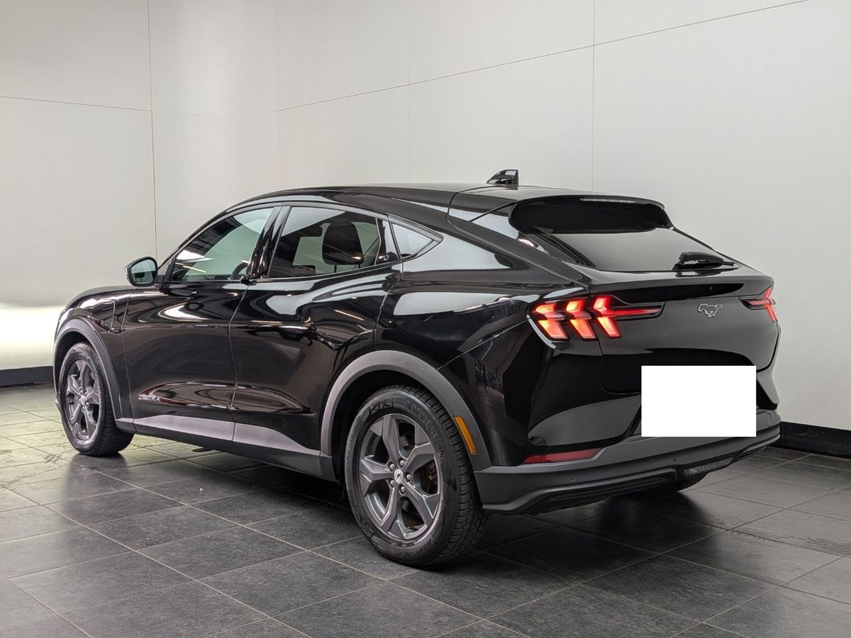 Ford Mustang d'occasion