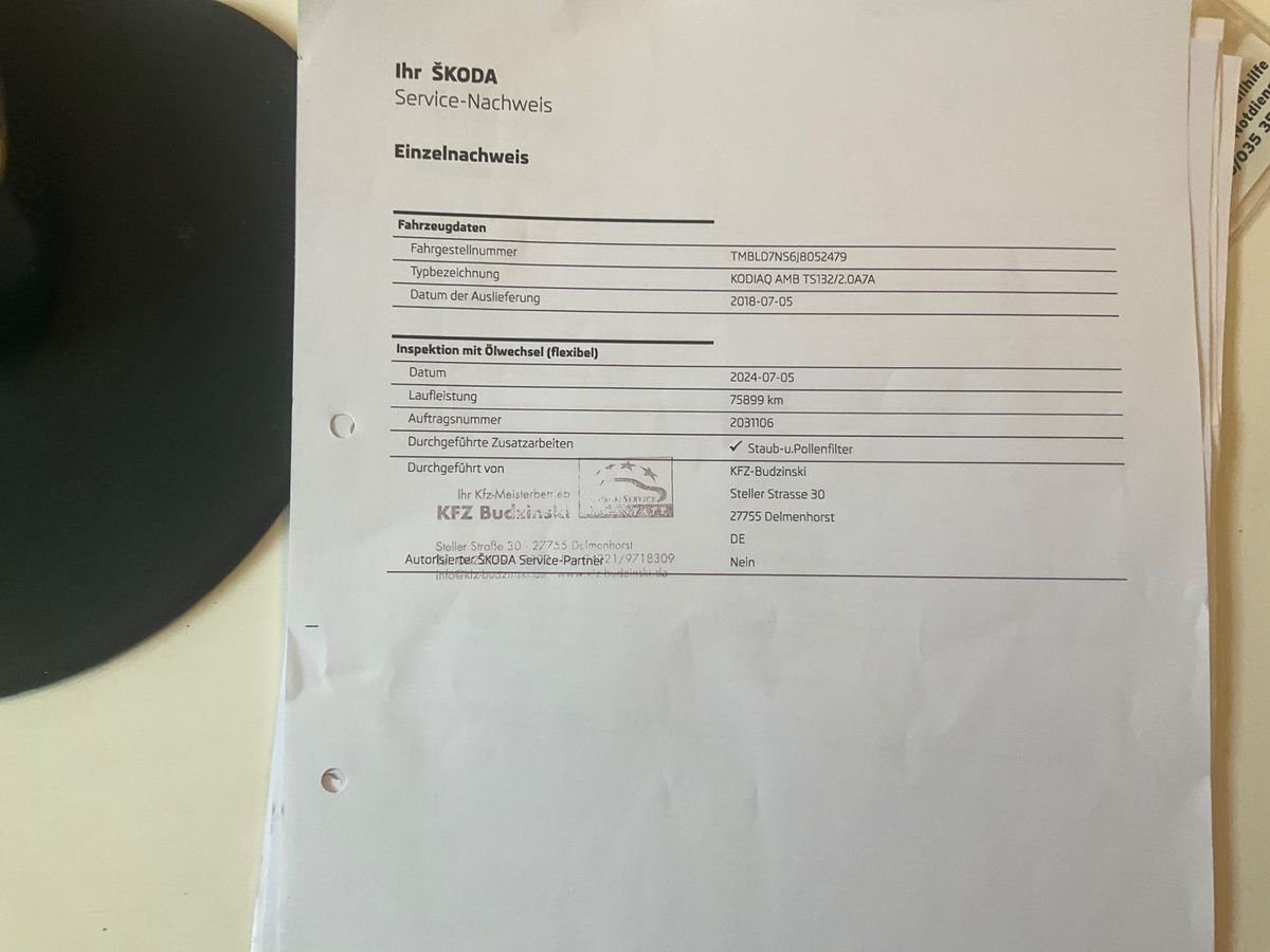 Skoda Kodiaq 2018 — photo 24