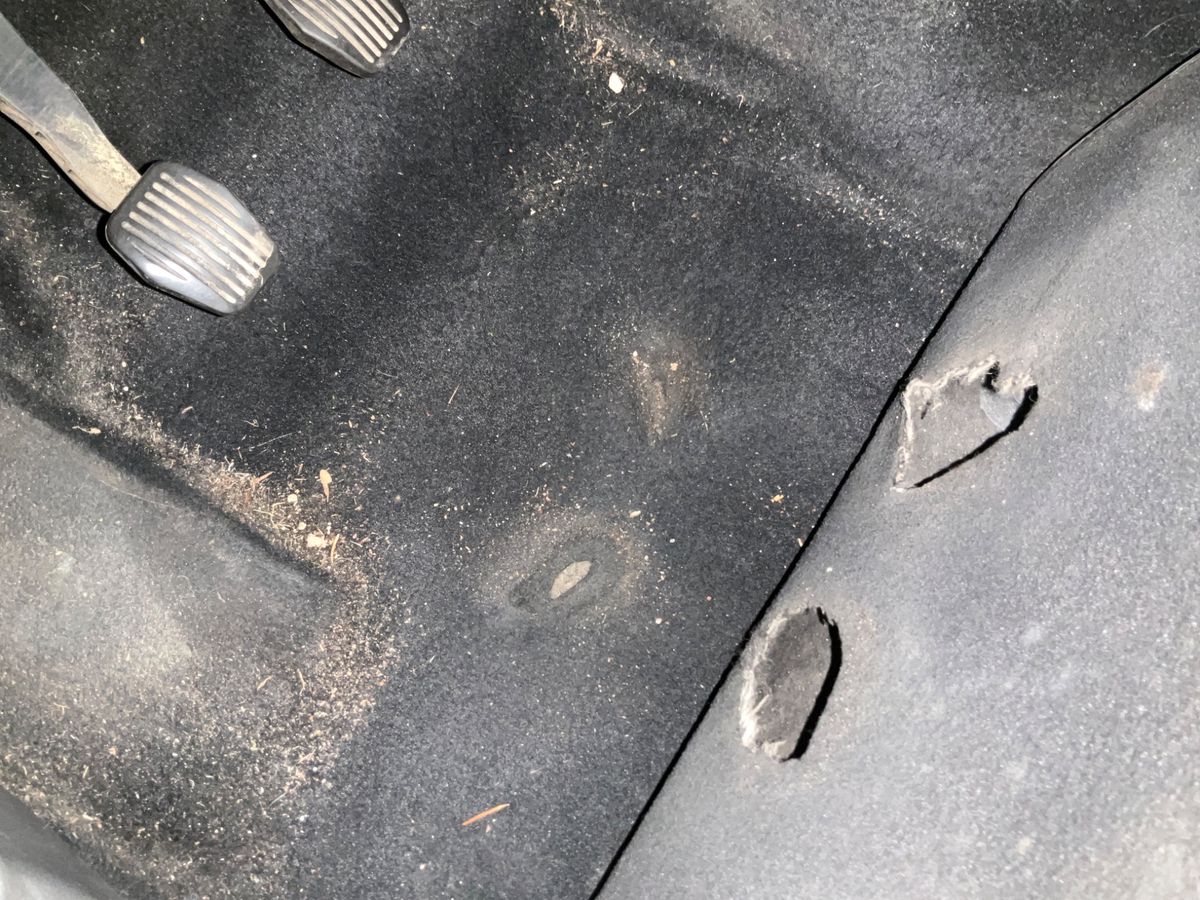 Ford Grand 2021 — photo 49