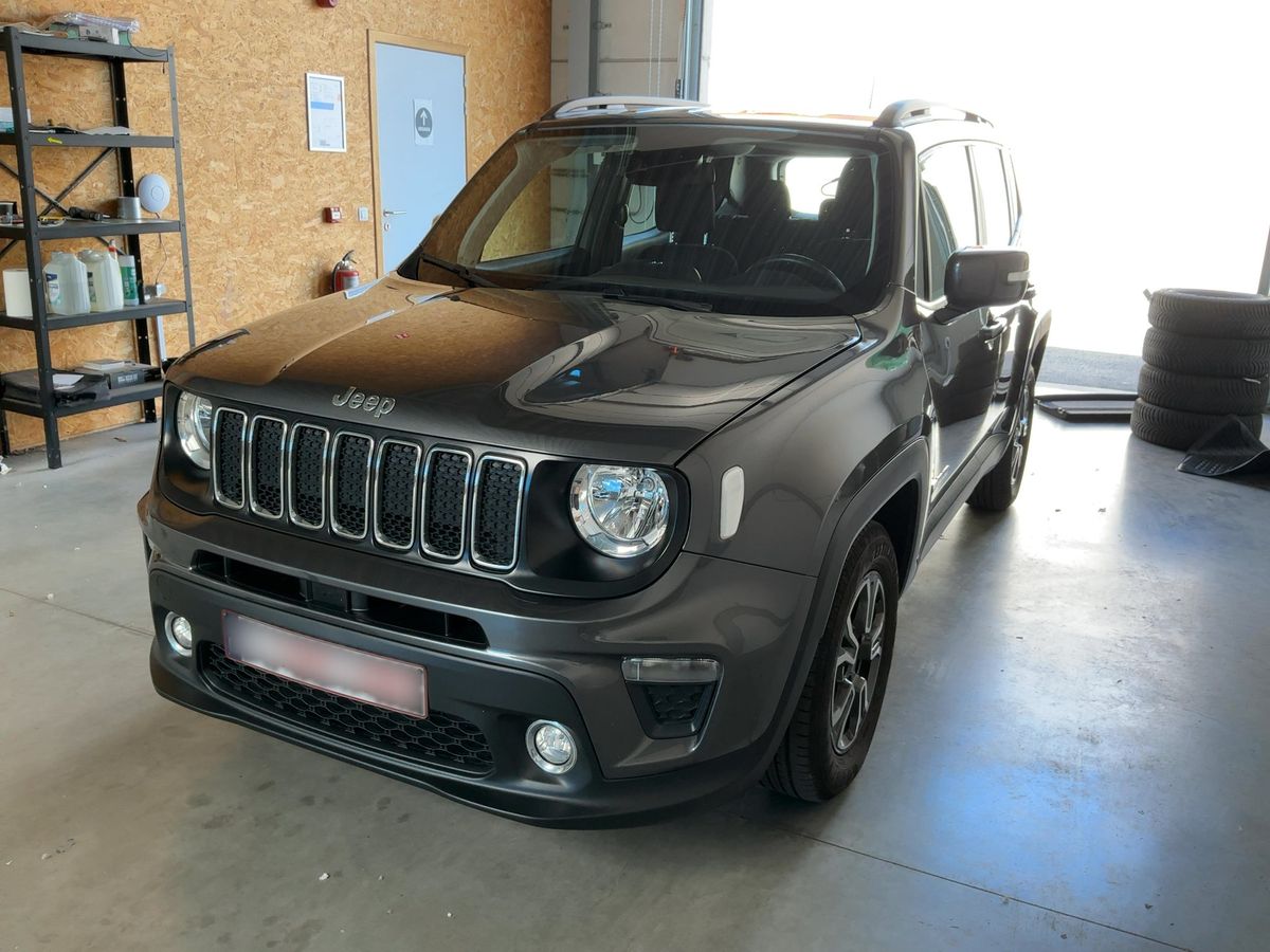 Jeep Renegade 2019 — photo 1