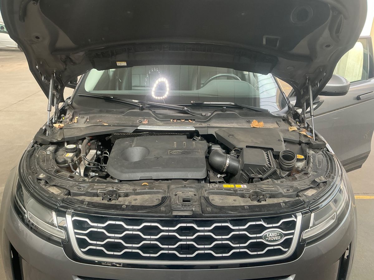 Land Rover 2021 — photo 30