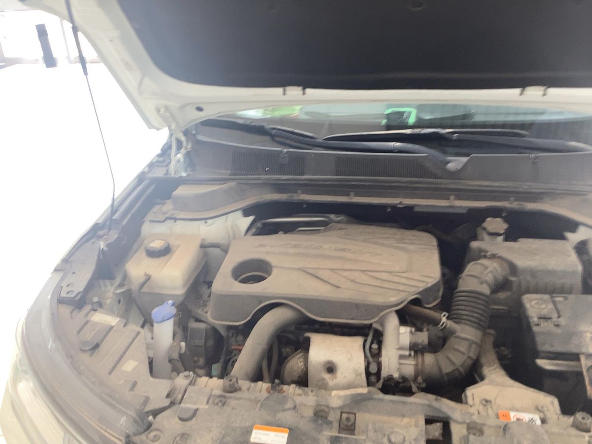 Ssangyong Korando 2022 — photo 23