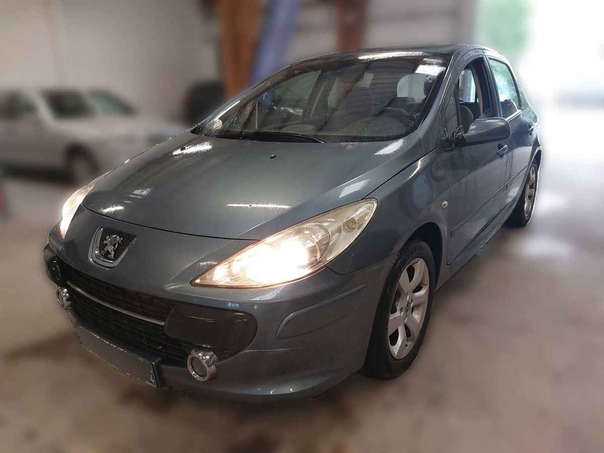 Peugeot 307 2007