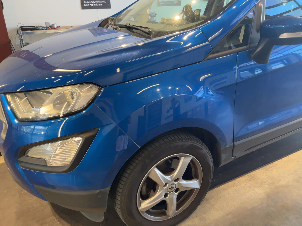Ford EcoSport d'occasion