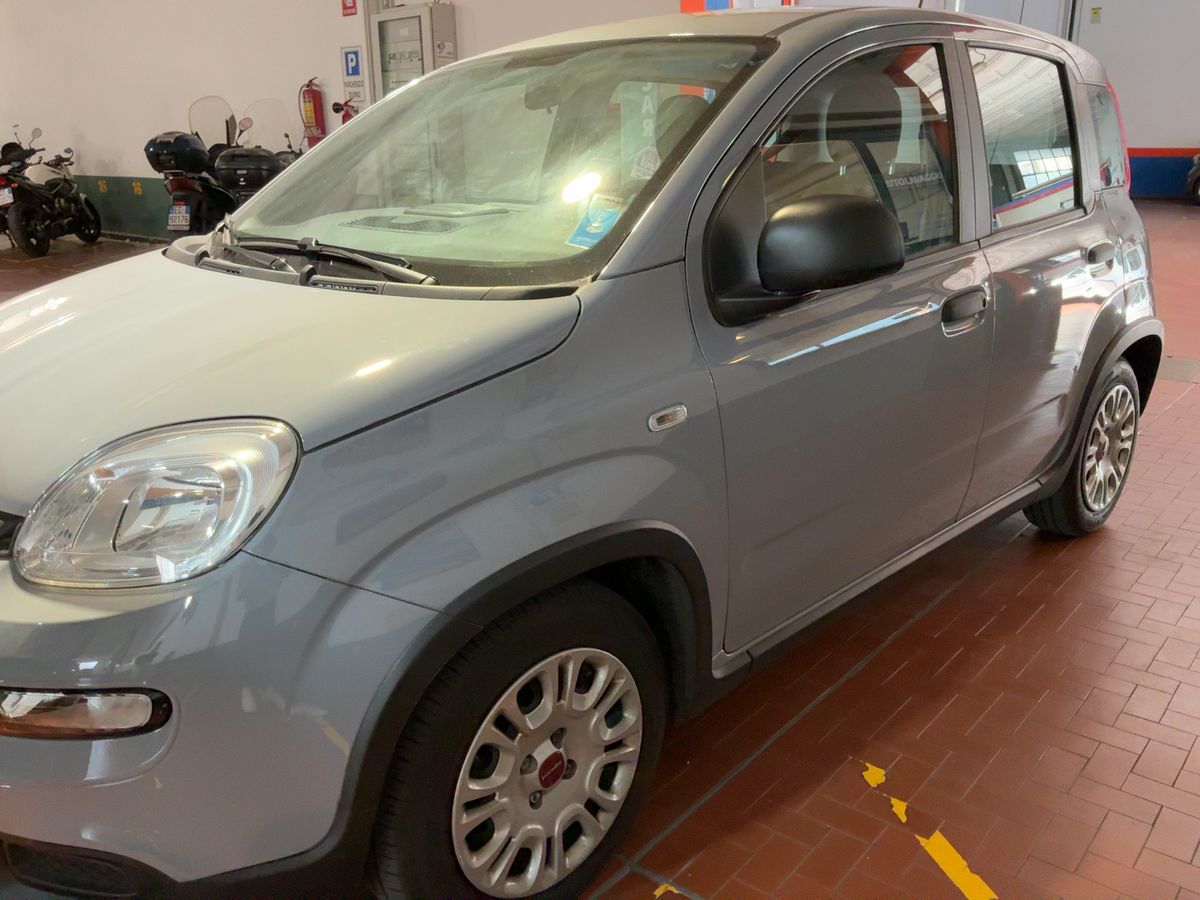 Fiat Panda d'occasion