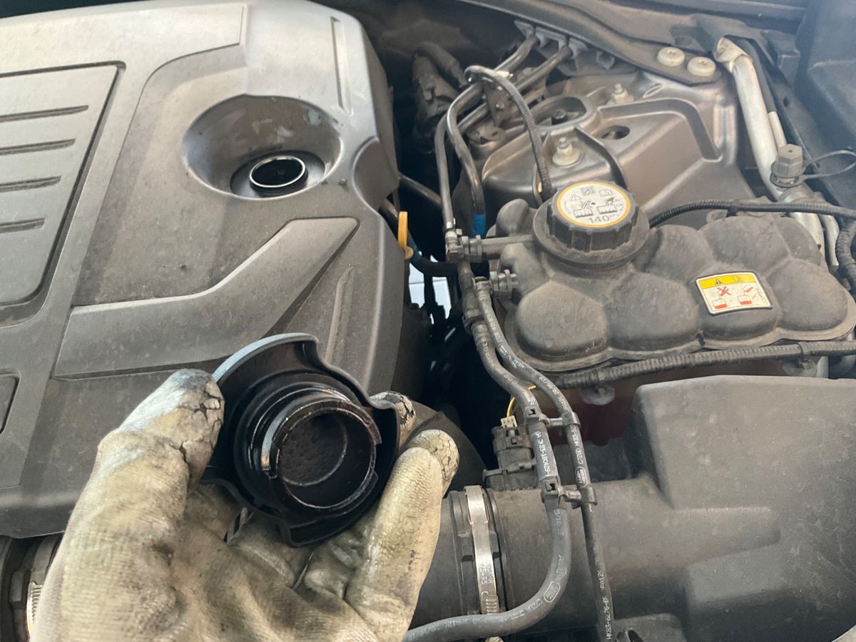 Land Rover 2020 — photo 26