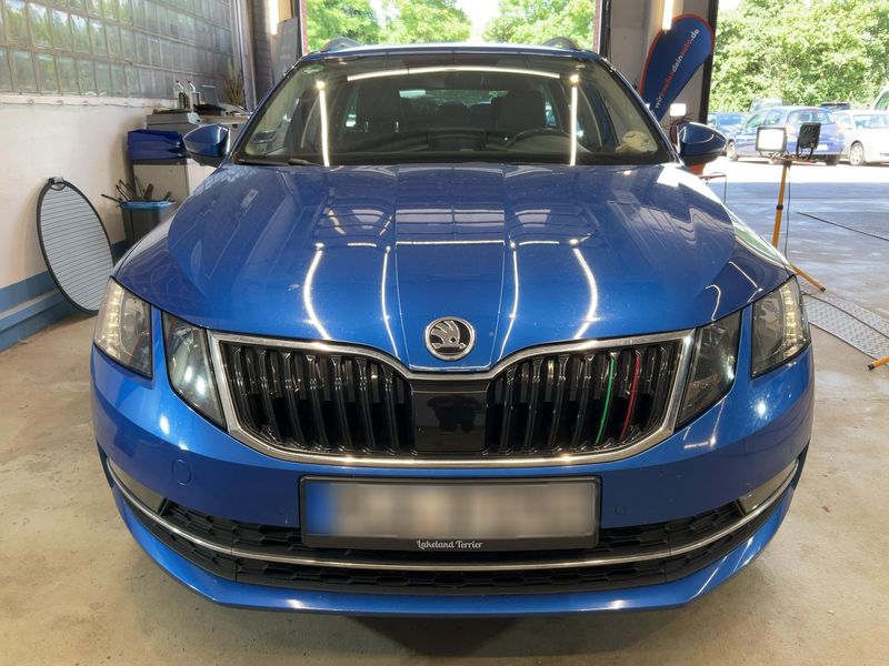 Skoda Octavia 2.0 TDI Style 2019 – снимка 14
