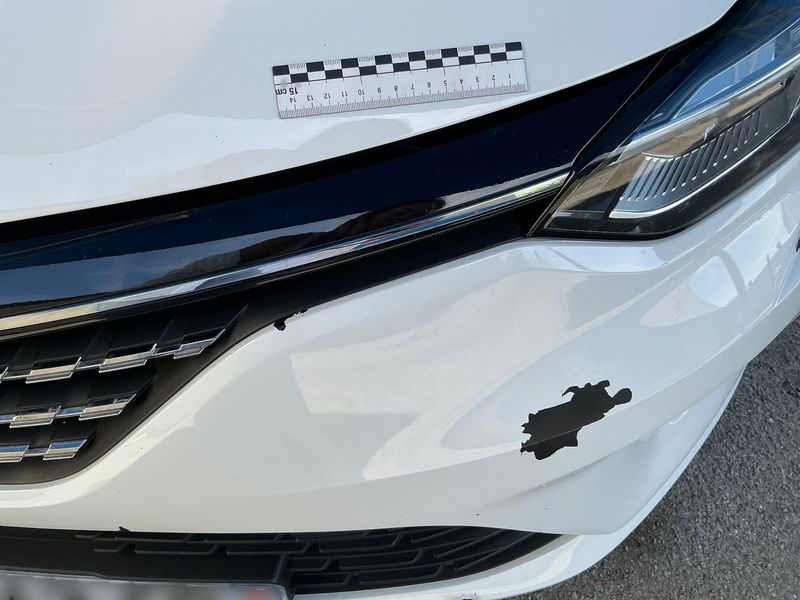 Renault Clio 1.0 TCe Business 2019 – снимка 31