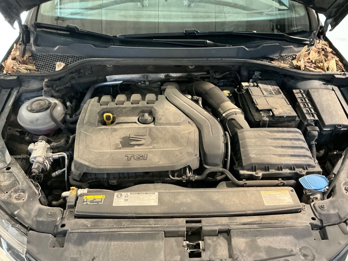 Seat Leon 2019 — photo 23
