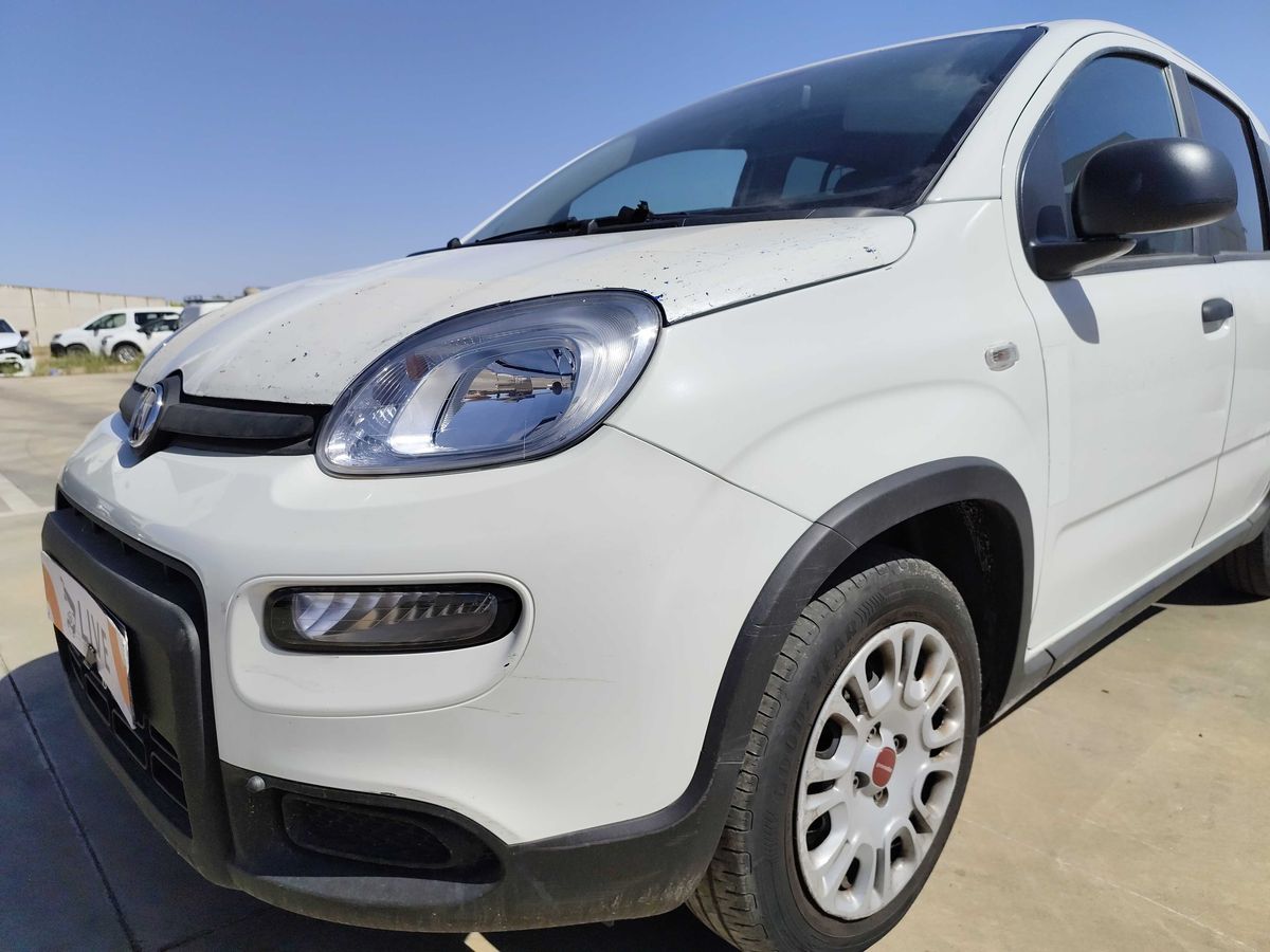 Fiat Panda d'occasion