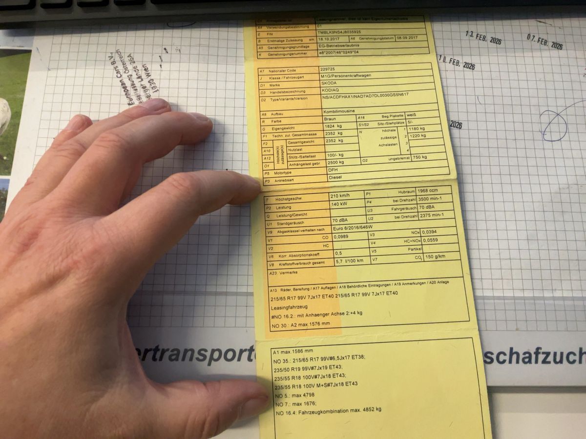 Skoda Kodiaq d'occasion