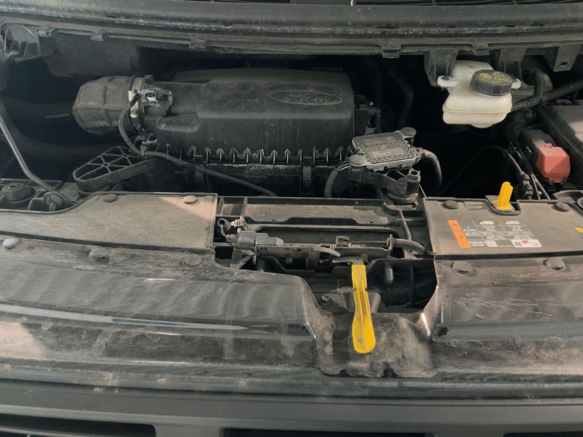 Ford Transit 2024 — photo 30