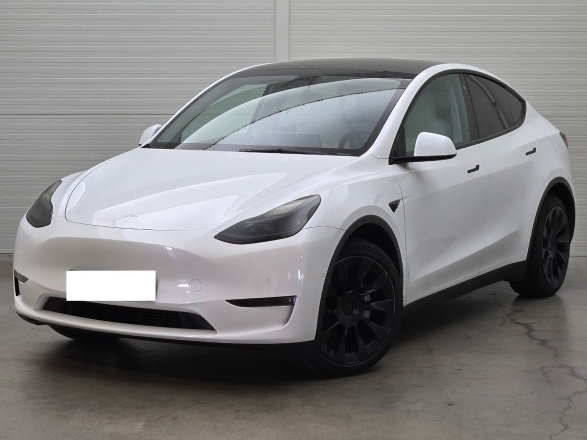 Tesla Model 2022