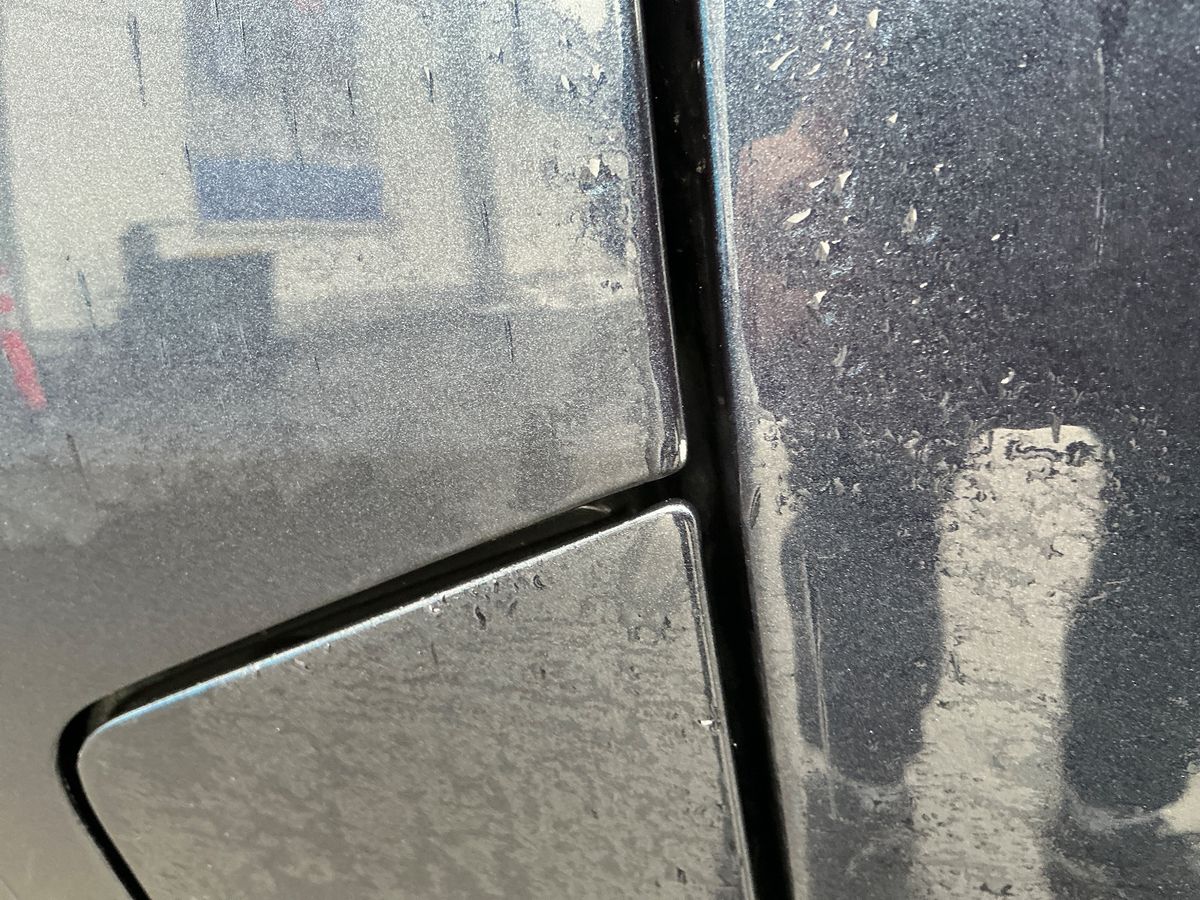 Volkswagen T6 2019 — photo 40