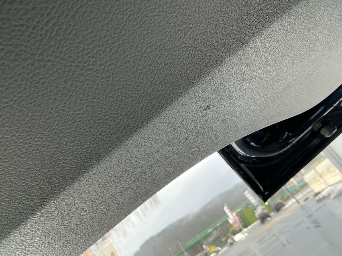 Volkswagen T6 2019 — photo 39