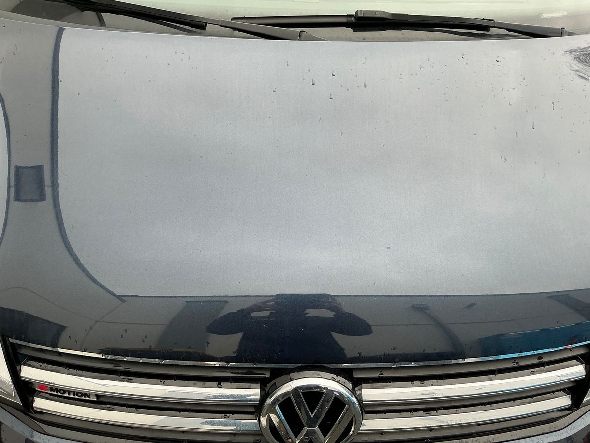 Volkswagen T6 2019 — photo 3