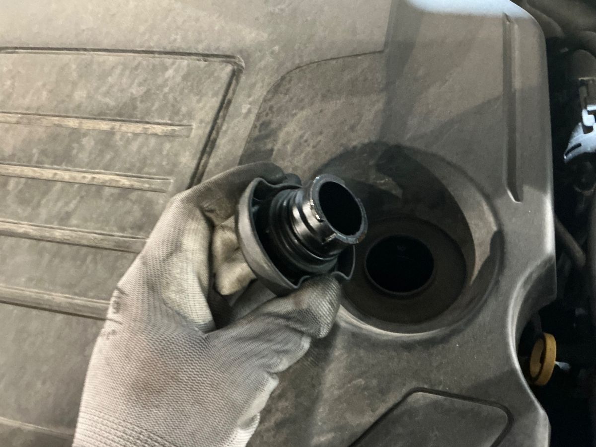 Land Rover 2019 — photo 29