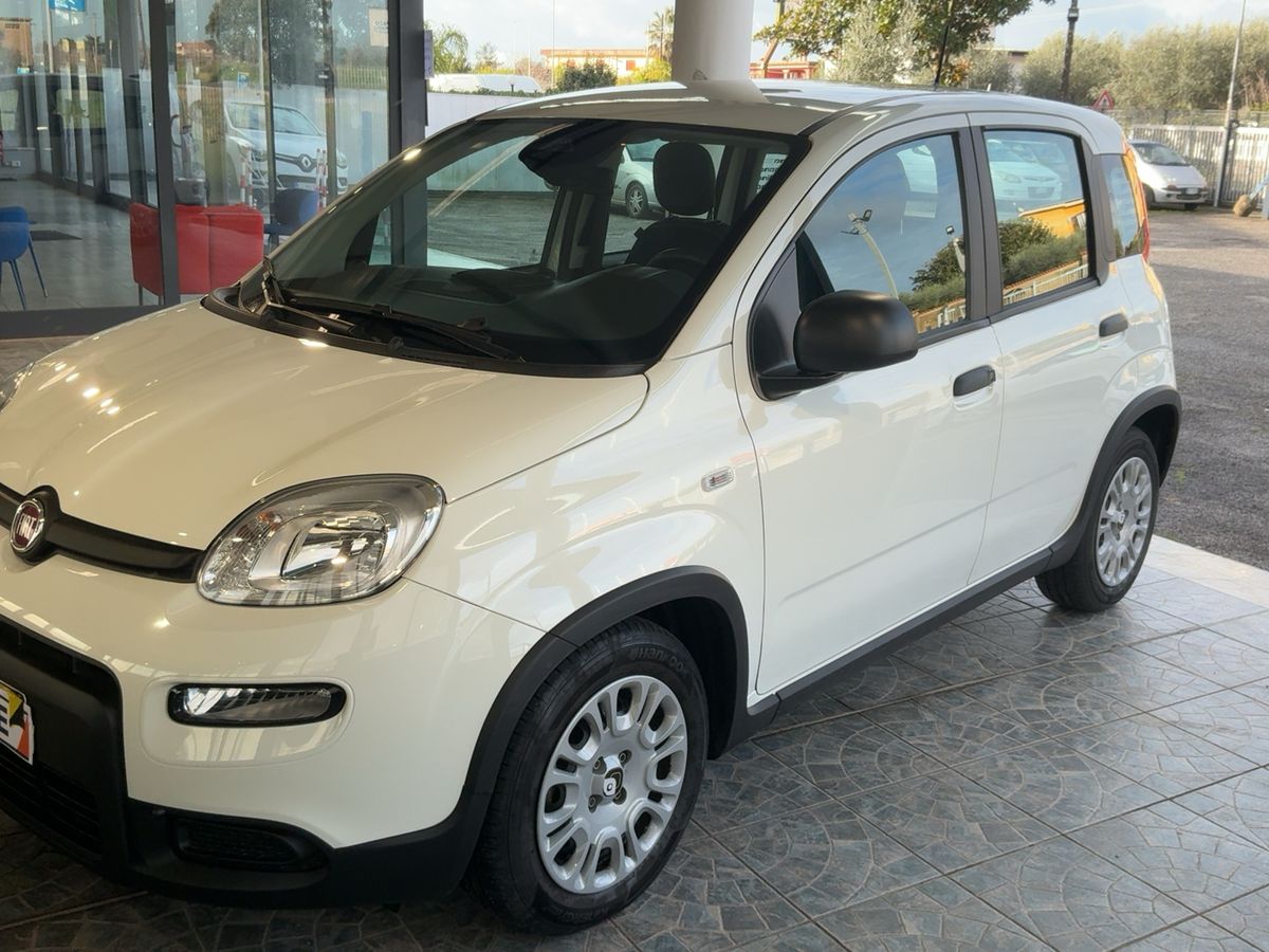 Fiat Panda d'occasion