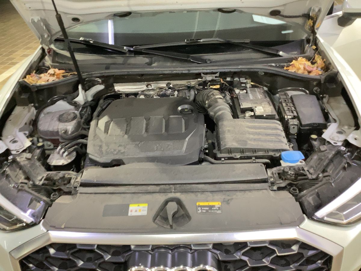 Audi Q3 2021 — photo 23