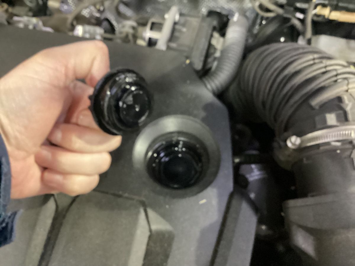 Audi Q3 2021 — photo 24