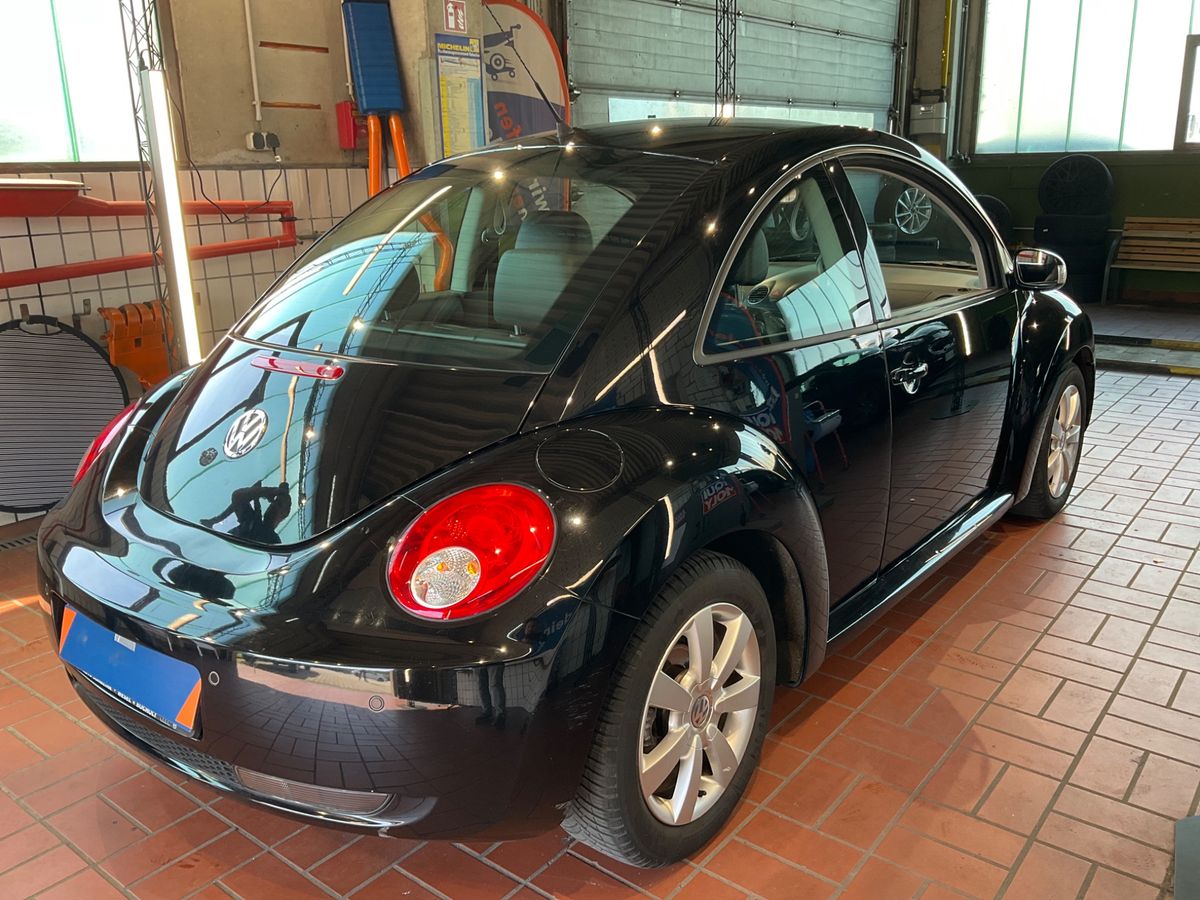 Volkswagen New d'occasion
