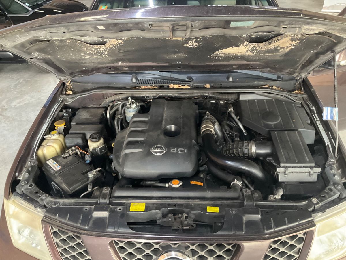 Nissan Pathfinder 2009 — photo 44