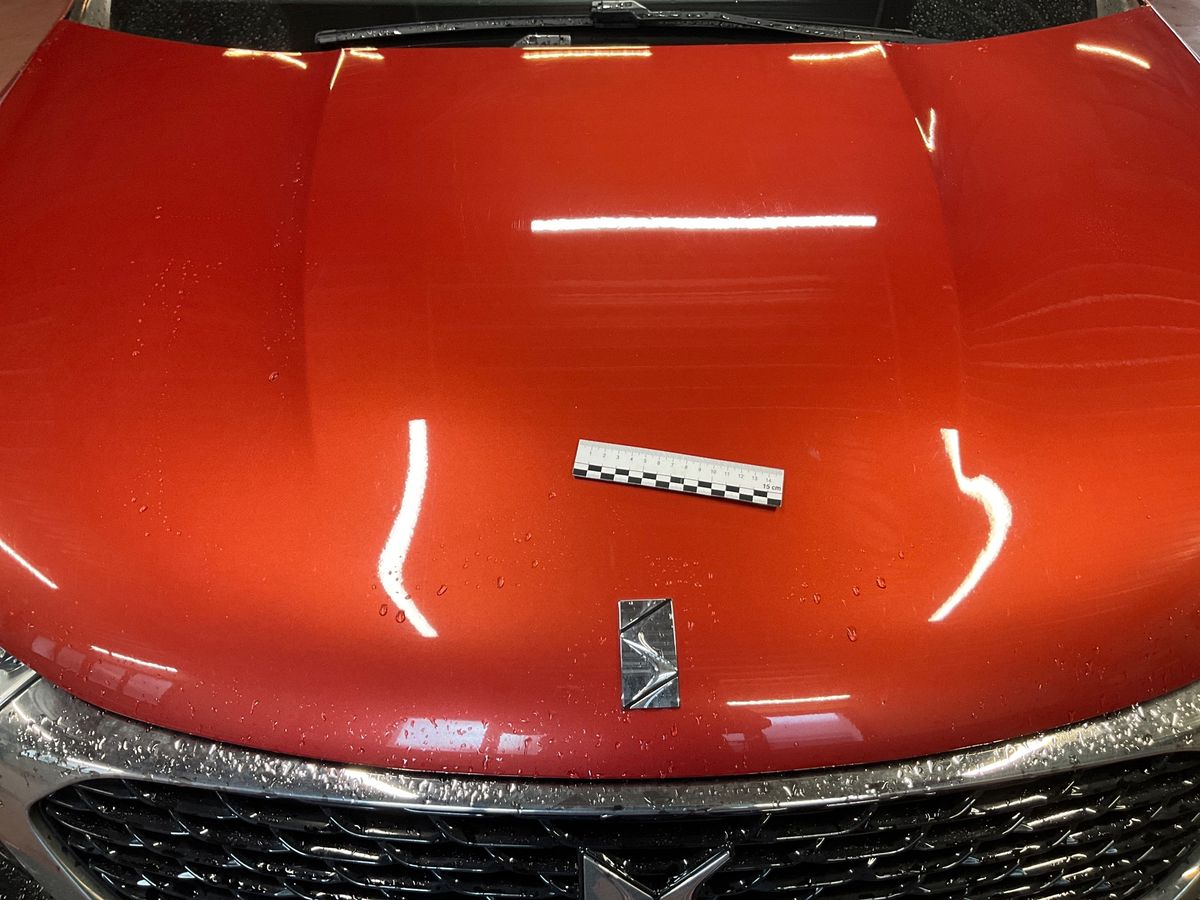 DS Automobiles 2017 — photo 36