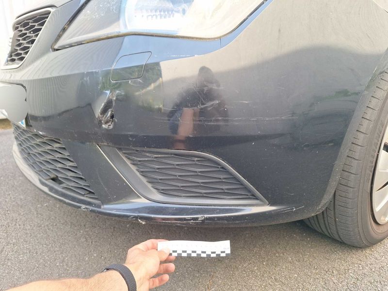 Seat Ibiza 1.4 Reference Viva 2012 – снимка 89