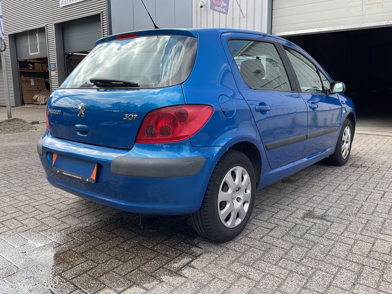 Peugeot 307 1.6 Tendance — zdjęcie 2