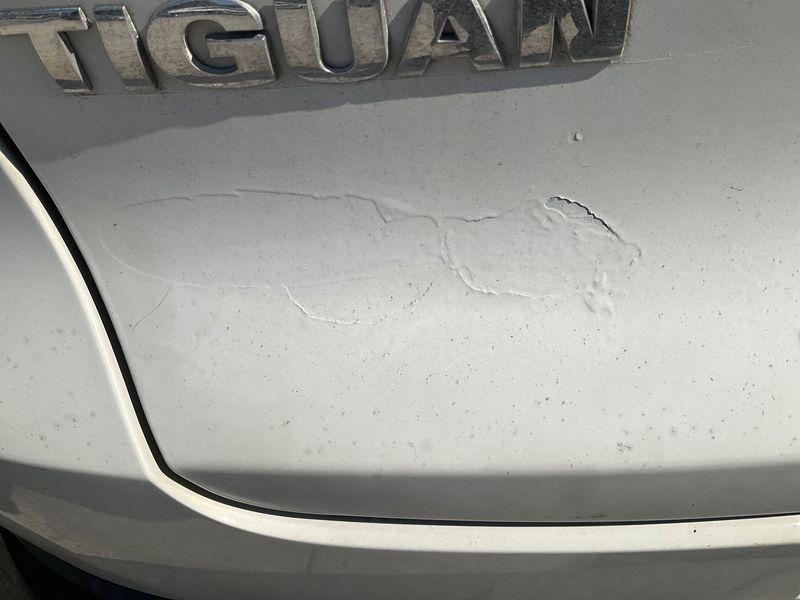 Volkswagen Tiguan 1.4 TSI Trend & Fun BlueMotion Tech 2011 – снимка 25