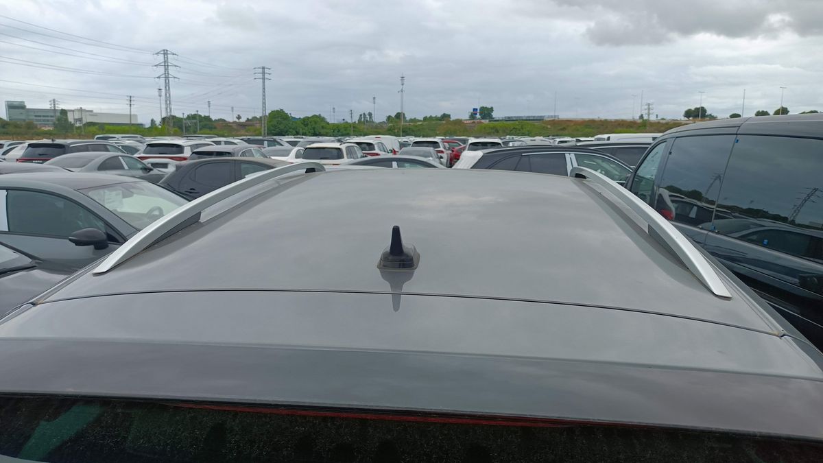 Skoda Kodiaq d'occasion