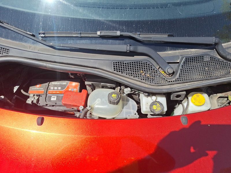 Smart forfour 1.0 Basis passion — zdjęcie 8