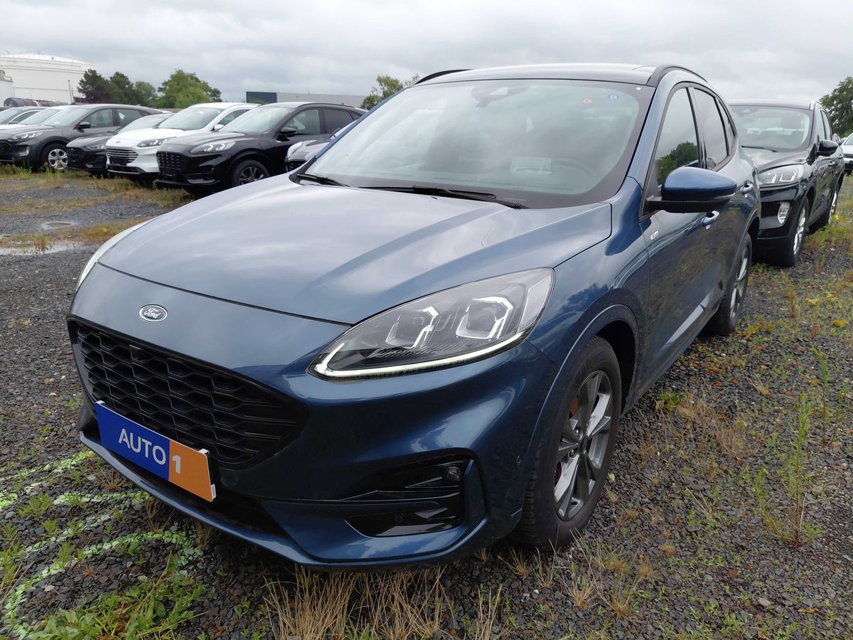 Ford Kuga 2024 — photo 1