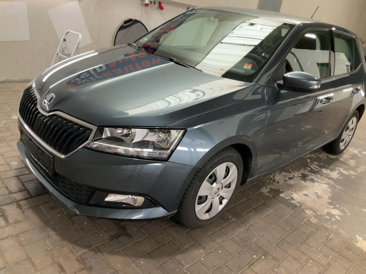 Skoda Fabia d'occasion