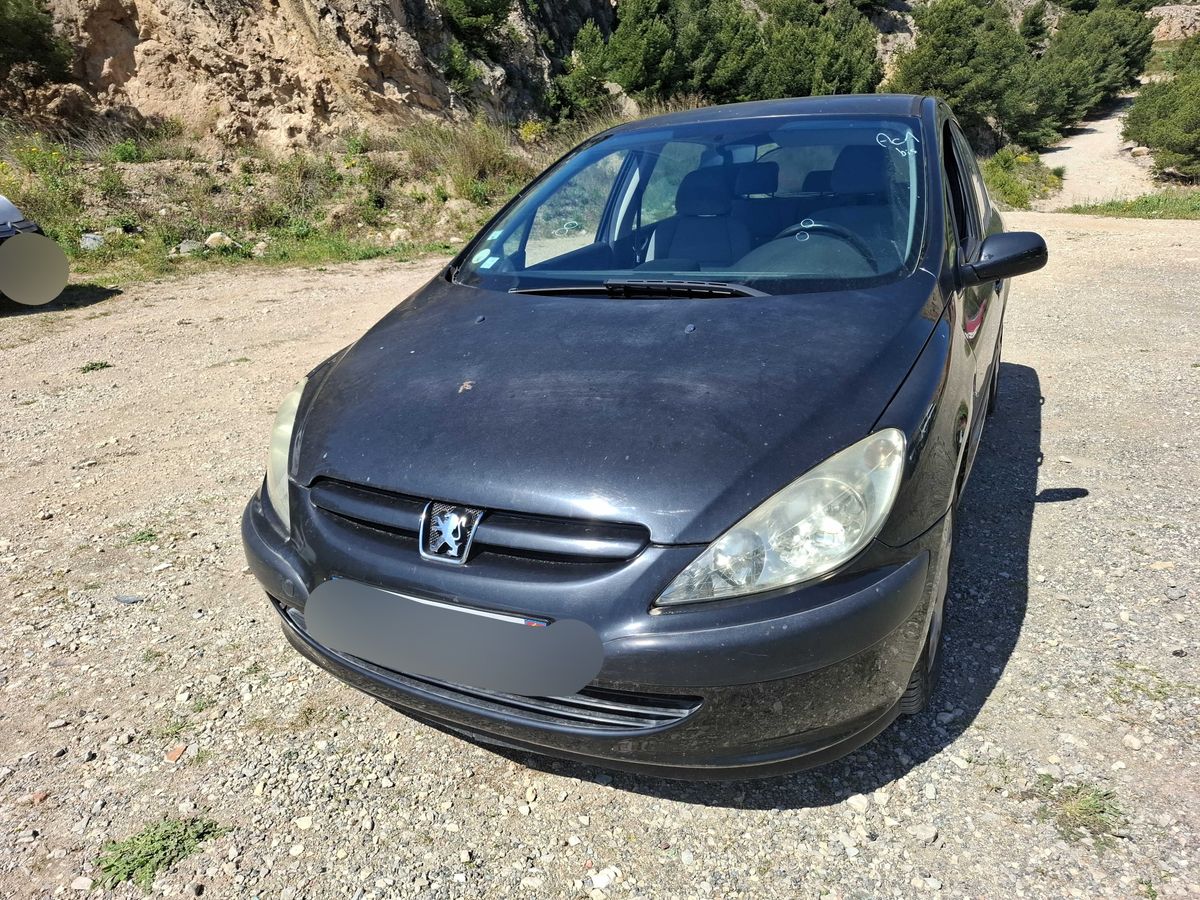 Peugeot 307 2005