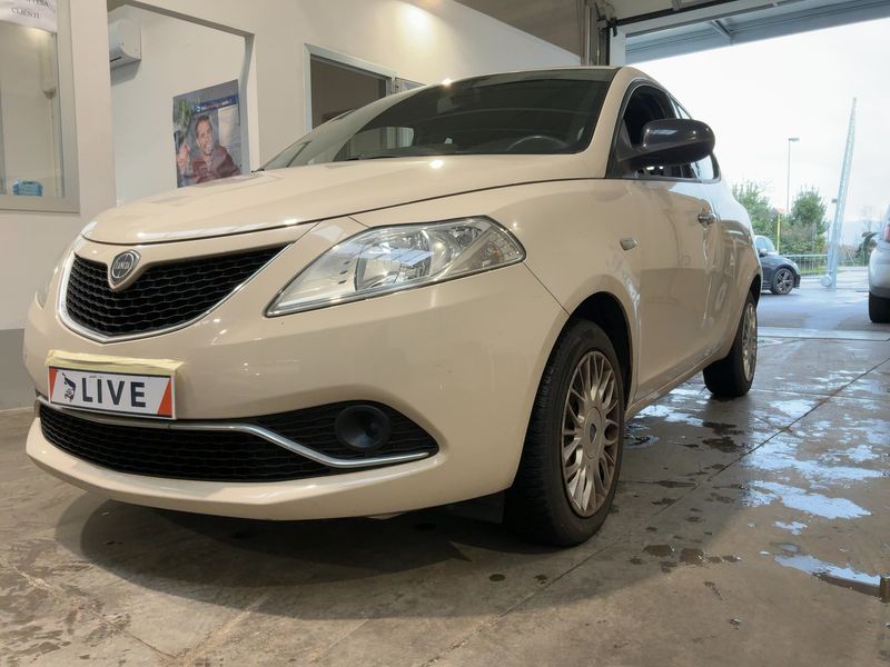 Ypsilon 1.2 Gold
