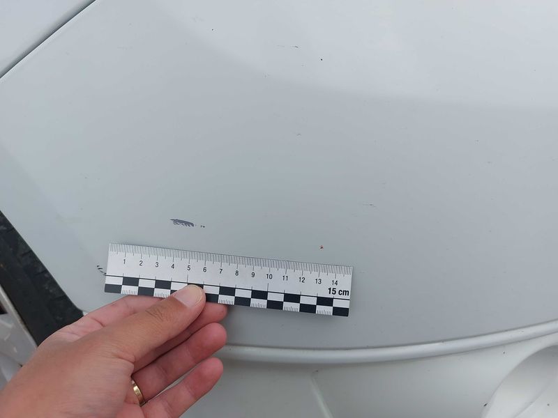Dacia Sandero 1.5 dCi Ambiance 2016 – снимка 61
