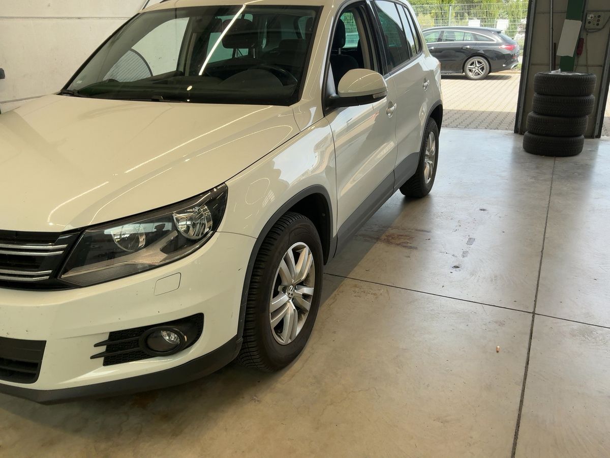 Volkswagen Tiguan d'occasion