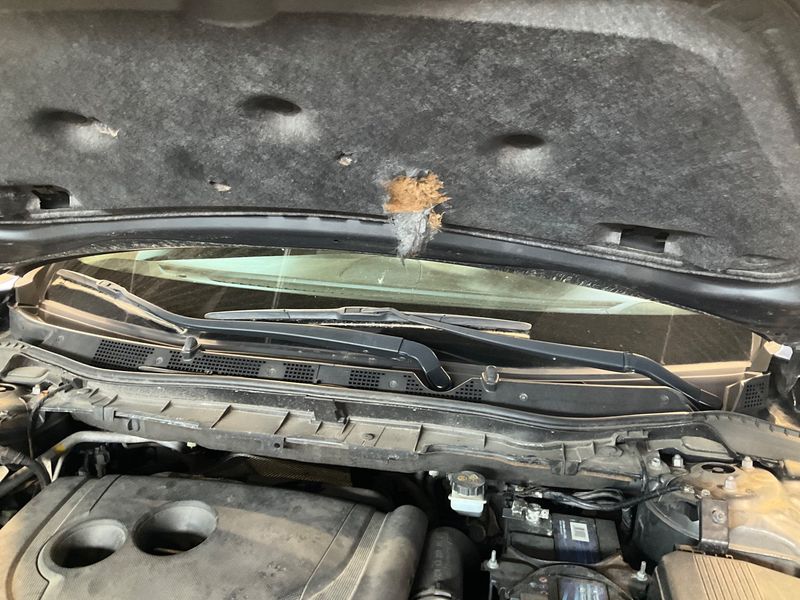 Mazda CX-5 2.2 Turbodiesel Sports-Line AWD 2015 – снимка 42