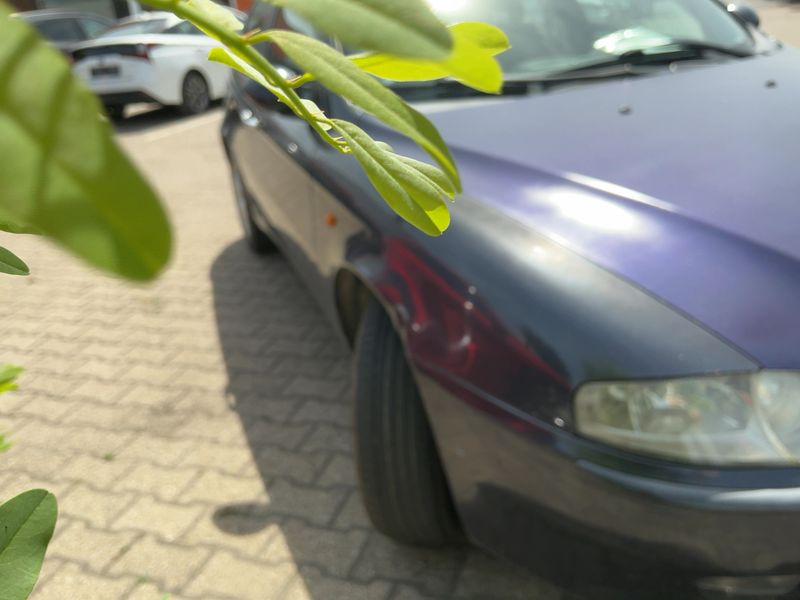 Alfa Romeo Alfa 147 1.6 T.Spark Distinctive — zdjęcie 8