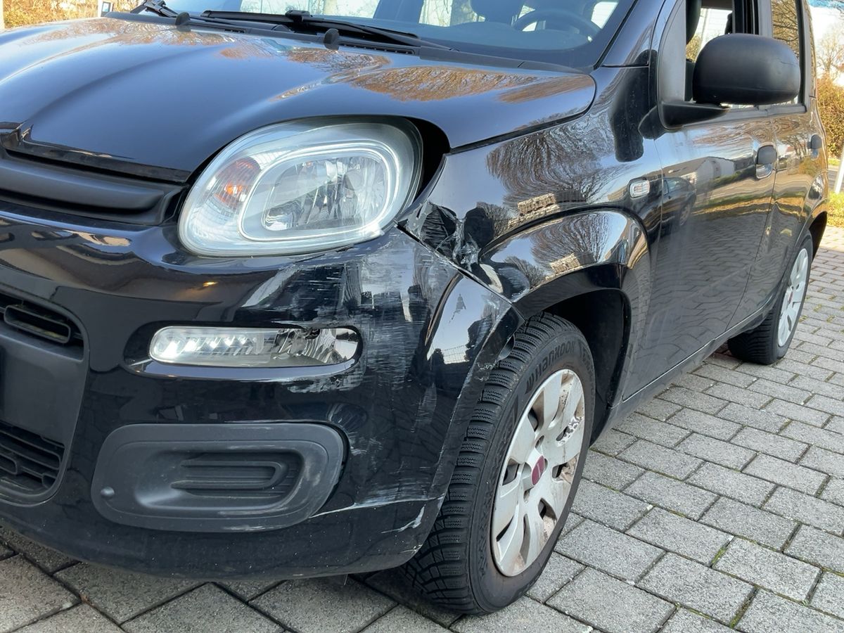 Fiat Panda d'occasion