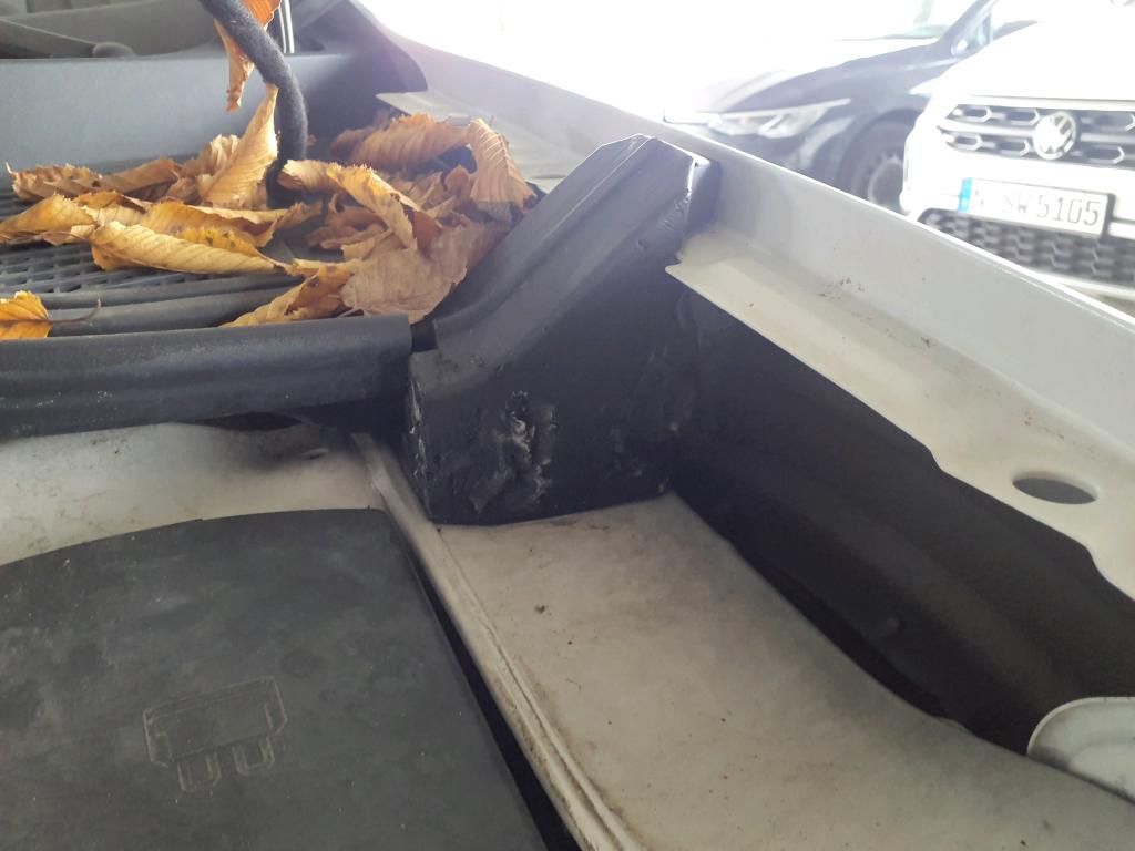 Volkswagen T-Roc d'occasion