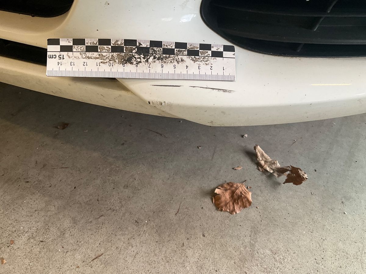 Peugeot 308 2020 — photo 35