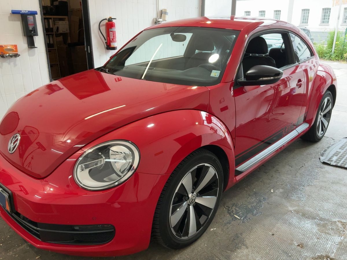 Volkswagen Beetle d'occasion