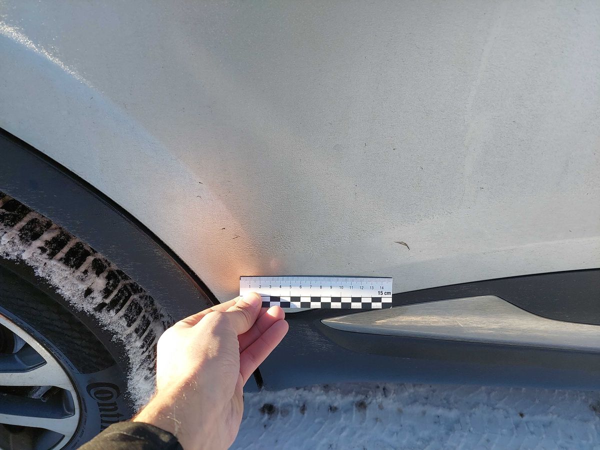 Renault Kadjar 2019 — photo 58