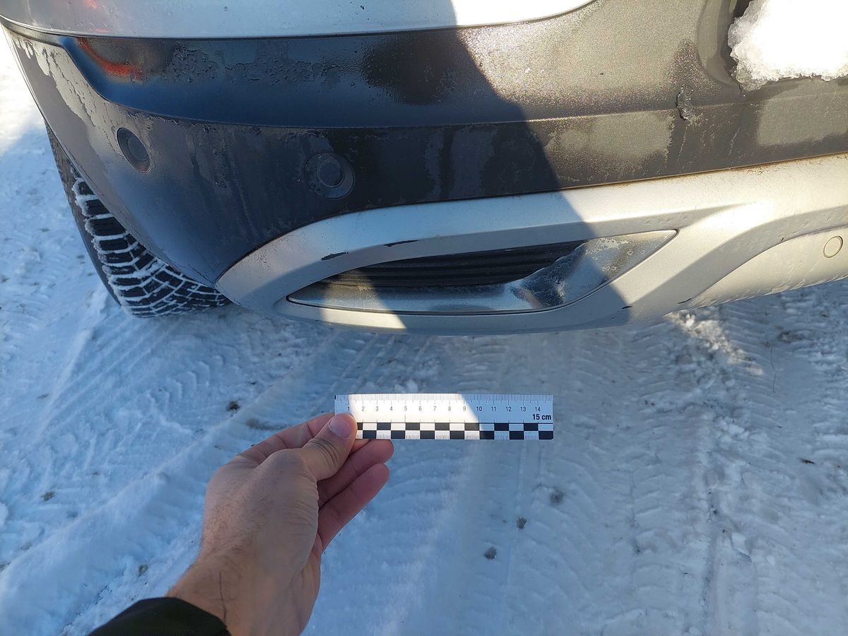 Renault Kadjar 2019 — photo 77