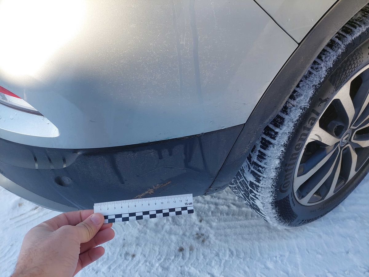Renault Kadjar 2019 — photo 79