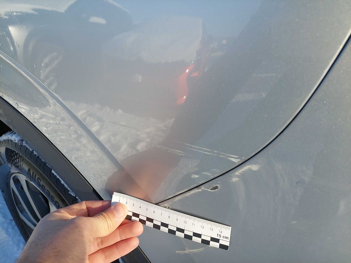 Renault Kadjar 2019 — photo 72